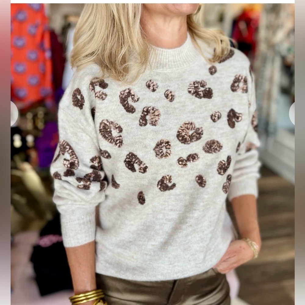 NEW CHARLIE B Cream & Brown Patterned Sweater | Size L | NWT